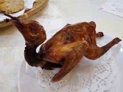 红烧脆皮乳鸽-有腥气私房菜·寻味顺德