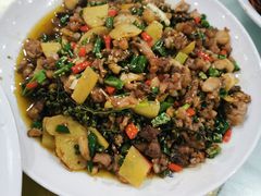 -西木兔(大圆祥店)