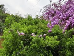 -郑和公园