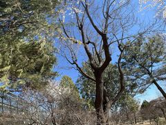 -北京鹫峰国家森林公园