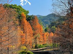 -云溪植物园