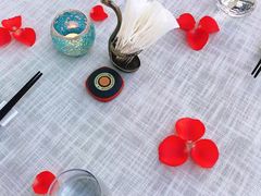 -梧桐
