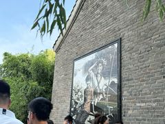 -白洋淀景区