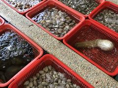 -西涌国际滨海旅游区