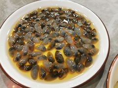 醉泥螺-红灯笼龙凤饭店(宁波老字号店)