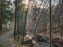 -溪口商量岗景区