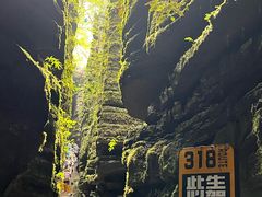 -梭布垭石林景区