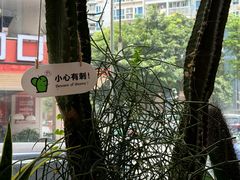 -隅乐胡椒虾·台湾菜·团建(皇岗店)