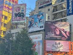-秋叶原电器街