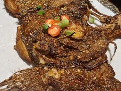 -吧嘚嘴炭烧鸽串吧(北海街店)