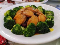 -龙悦湾酒家·八阵鱼生·渔人码头店