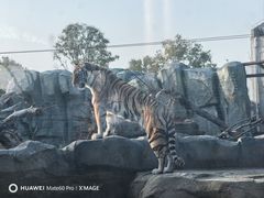 -祥源·阜阳生态乐园