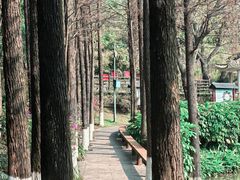 -广州莲花山旅游区