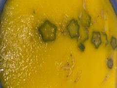 -鼎原力量东北吊炉烧烤(临河街店)