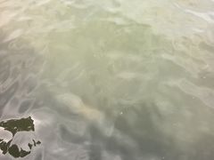 -西湖游船
