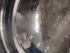 -大锅强·蒸海鲜青岛菜(金沙滩店)