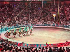 -俄罗斯国家大马戏团