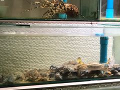 -光海鲜鱼翅餐厅(叻差拉披色路店)
