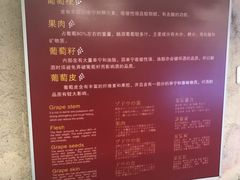 -青岛葡萄酒博物馆