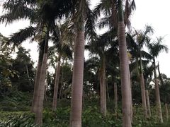 -人民公园(罗湖区)