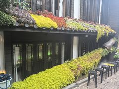-桥边小楼·手工云南菜·古城观景小楼
