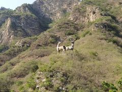-圣莲山风景区