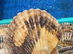 -靓湾海鲜·海景餐厅(小麦岛店)