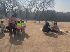 -盘龙城国家考古遗址公园