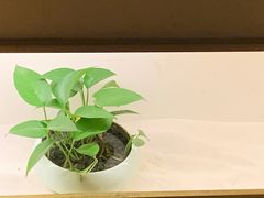 -常乐·对症推拿(来福士第43分店)