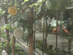 -南宫五洲植物乐园