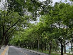 -北坞公园