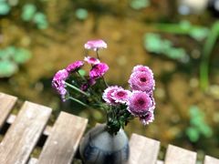 -归觅·西关小姐人文艺术馆(荔枝湾店)