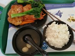 -雨林餐厅(长隆海洋王国店)
