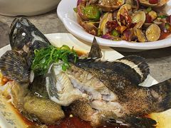 石斑鱼清蒸-四川小胡子海鲜(丁村万人海鲜广场店)