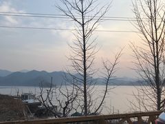 -望湖烤鱼
