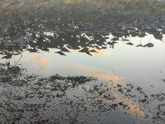 -党河风情线国家水利风景区