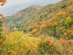 -香山公园-东宫门售票处