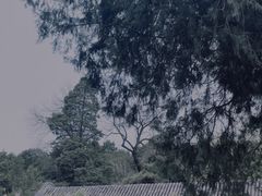 -颐和园