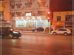 -良友水鱼城