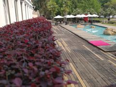 -南国桃园旅游度假区