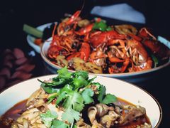 -猫头婴小酒馆FUN OWL(1912店)