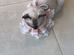 -怪兽屋·羊驼·猫咖·狗咖(俊华广场店)