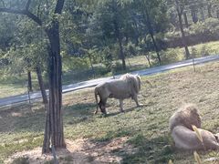 -秦皇岛野生动物园