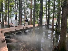 -东湖落雁景区