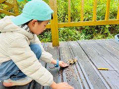 -莫尔道嘎国家森林公园