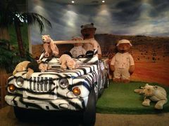 -济州岛泰迪熊博物馆