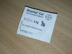 -爱侣宠医·鹦鹉专科·小型哺乳类·异宠专科(灵石路店)