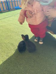 -萌宠亲子动物乐园(槐房万达店)