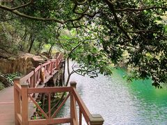 -鼎湖山风景区