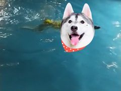 -国御温泉度假小镇